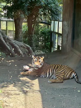恩賜上野動物園に投稿された画像（2026/7/11）