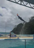 下田海中水族館に投稿された画像（2026/7/11）