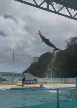 下田海中水族館に投稿された画像（2026/7/11）