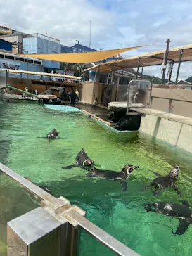 下田海中水族館に投稿された画像（2026/7/11）