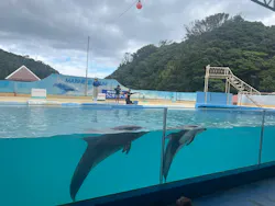 下田海中水族館に投稿された画像（2026/7/11）