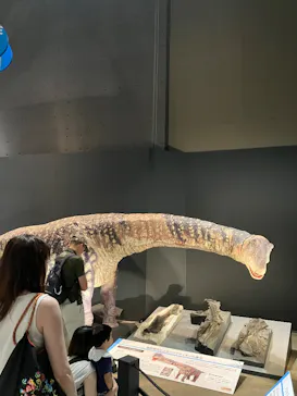 福井県立恐竜博物館に投稿された画像（2026/7/11）