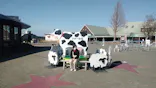 マザー牧場に投稿された画像（2026/7/11）