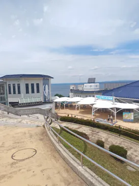 のとじま水族館に投稿された画像（2026/7/11）