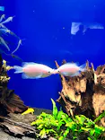 サンシャイン水族館に投稿された画像（2026/7/11）
