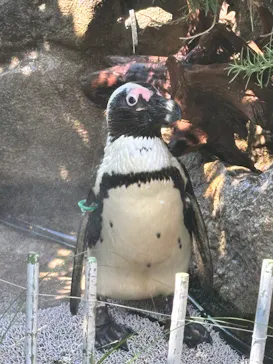 サンシャイン水族館に投稿された画像（2026/7/11）