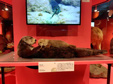 特別展「いきもの超ワールド展　国立科学博物館×ダーウィンが来た！」（国立科学博物館）に投稿された画像（2026/7/11）