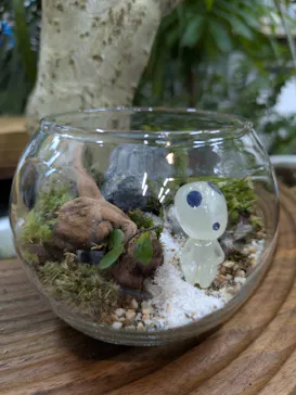 苔むす屋に投稿された画像（2026/7/11）