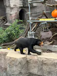天王寺動物園に投稿された画像（2026/7/11）