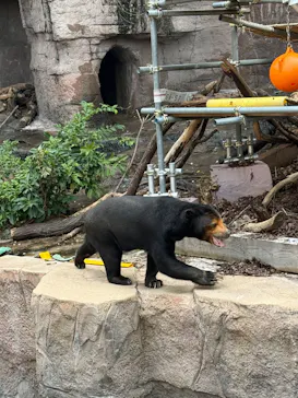 天王寺動物園に投稿された画像（2026/7/11）