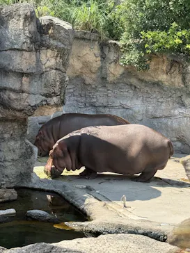 天王寺動物園に投稿された画像（2026/7/11）