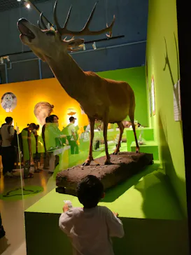 特別展「いきもの超ワールド展　国立科学博物館×ダーウィンが来た！」（国立科学博物館）に投稿された画像（2026/7/11）