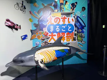 新江ノ島水族館に投稿された画像（2026/7/11）