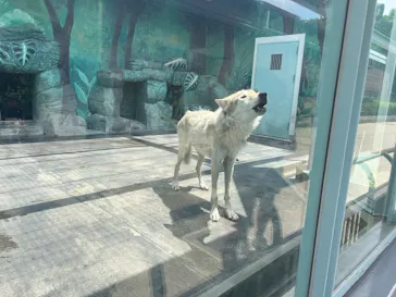 天王寺動物園に投稿された画像（2026/7/11）