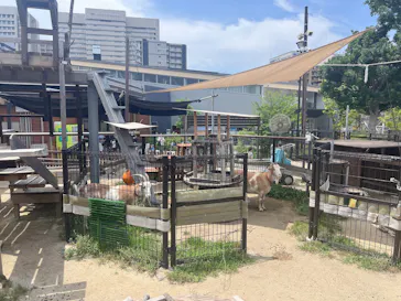 天王寺動物園に投稿された画像（2026/7/11）