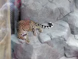 東武動物公園に投稿された画像（2026/7/11）