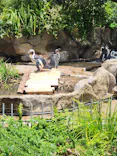 サンシャイン水族館に投稿された画像（2026/7/11）