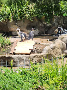 サンシャイン水族館に投稿された画像（2026/7/11）