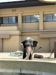 天王寺動物園に投稿された画像（2026/7/11）