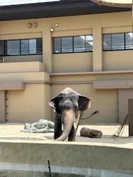 天王寺動物園に投稿された画像（2026/7/11）