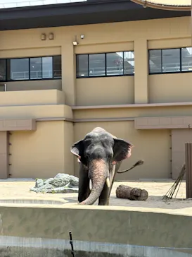 天王寺動物園に投稿された画像（2026/7/11）