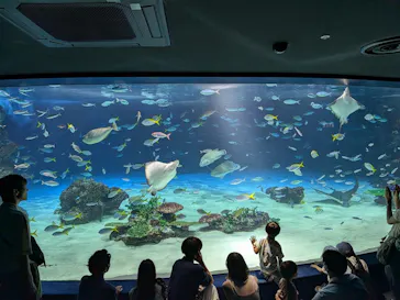サンシャイン水族館に投稿された画像（2026/7/11）