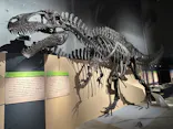 福井県立恐竜博物館に投稿された画像（2026/7/11）