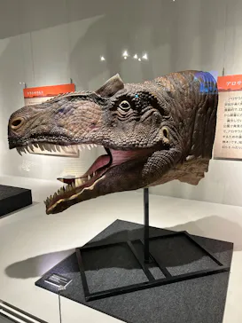 福井県立恐竜博物館に投稿された画像（2026/7/11）