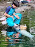 箱根園水族館に投稿された画像（2026/7/11）