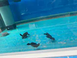名古屋港水族館に投稿された画像（2026/7/11）