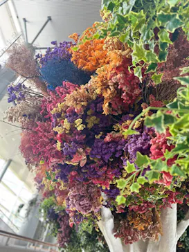 BOTANICA MUSEUMに投稿された画像（2026/7/11）