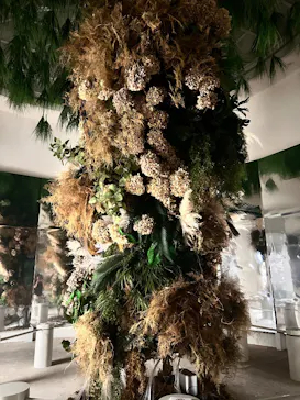 BOTANICA MUSEUMに投稿された画像（2026/7/11）