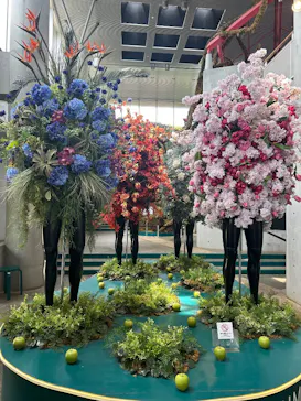 BOTANICA MUSEUMに投稿された画像（2026/7/11）
