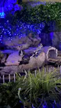 サンシャイン水族館に投稿された画像（2026/7/11）