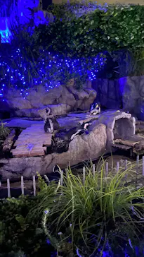 サンシャイン水族館に投稿された画像（2026/7/11）