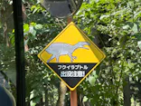 福井県立恐竜博物館に投稿された画像（2026/7/11）