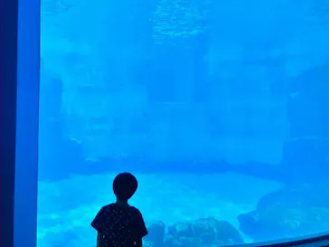 名古屋港水族館に投稿された画像（2026/7/11）