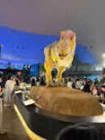 福井県立恐竜博物館に投稿された画像（2026/7/12）