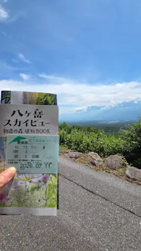 富士見高原スキー場に投稿された画像（2026/7/11）