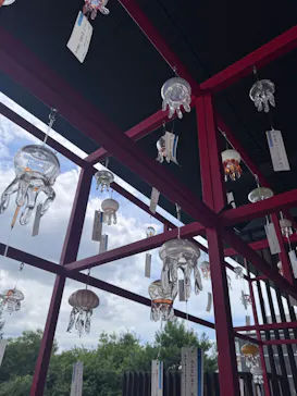 京都水族館に投稿された画像（2026/7/12）