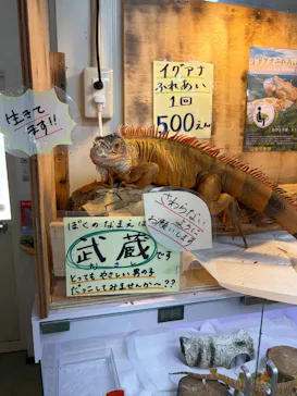 滋賀農業公園ブルーメの丘に投稿された画像（2026/7/12）