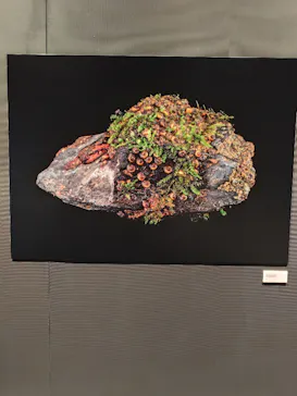 豊田市博物館に投稿された画像（2026/7/12）