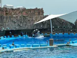 名古屋港水族館に投稿された画像（2026/7/12）
