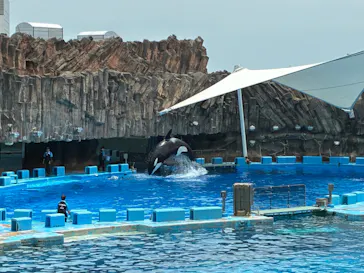 名古屋港水族館に投稿された画像（2026/7/12）