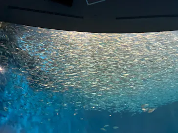 名古屋港水族館に投稿された画像（2026/7/12）