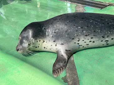 ゼロ距離水族館 伊勢シーパラダイスに投稿された画像（2026/7/12）