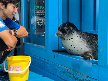ゼロ距離水族館 伊勢シーパラダイスに投稿された画像（2026/7/12）