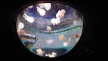 サンシャイン水族館に投稿された画像（2026/7/12）