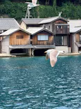 伊根湾めぐり遊覧船に投稿された画像（2026/7/12）