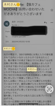 猫カフェモカ　アルシェ大宮店に投稿された画像（2024/8/26）